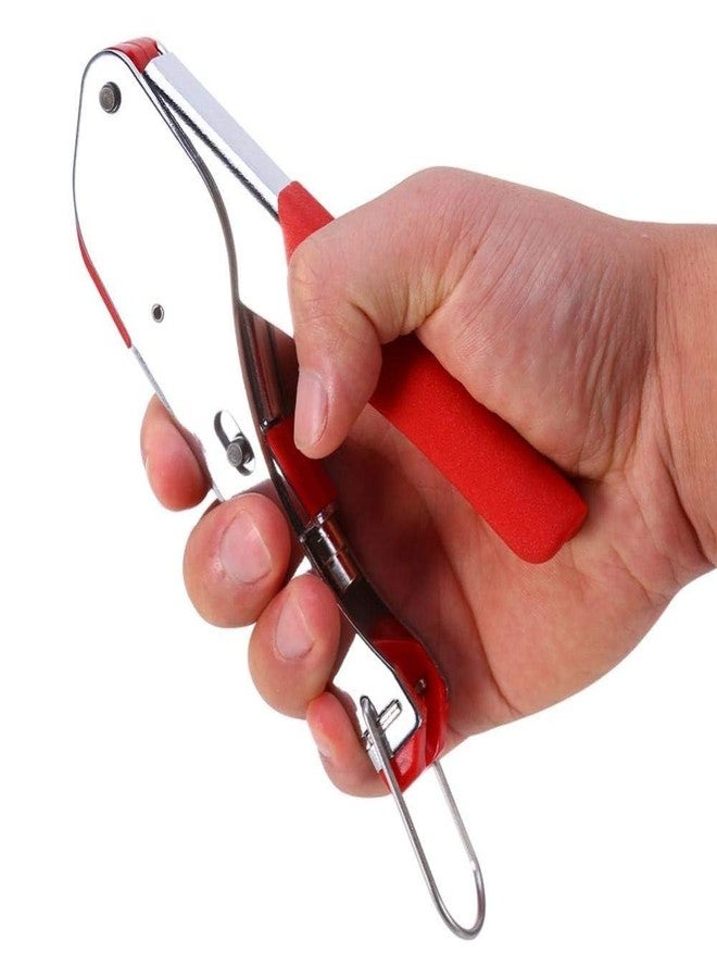 MESHIV أداة ضغط كابلات Meshiv المحورية لـ RG6 وRG59 وRG11 | أداة تجعيد موصلات من النوع F شديدة التحمل بمقبض مانع للانزلاق | أداة تجعيد كابلات محورية احترافية للتلفزيون والأقمار الصناعية وكاميرات المراقبة والإنترنت عريض النطاق (أحمر) - Image 5